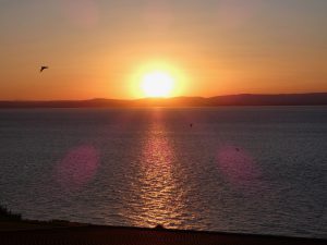 coast-caravan-park-clevedon-sunset-birds.jpeg